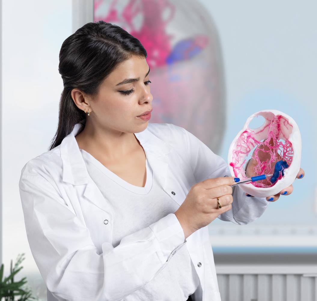 Printed Model_2 J5 Digital Anatomy Printer (1)